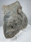 Ancient Roman volcanic stone carving with eroded figural composition, porous surface and mineral deposits