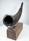 Close view of an antique Tibetan Buddhist horn displaying its curved profile, carved details, and natural aged surface.
