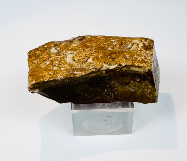 Underside angle of the limestone fragment reportedly collected at the Great Pyramid of Giza during an early 20th-century journey to Egypt.