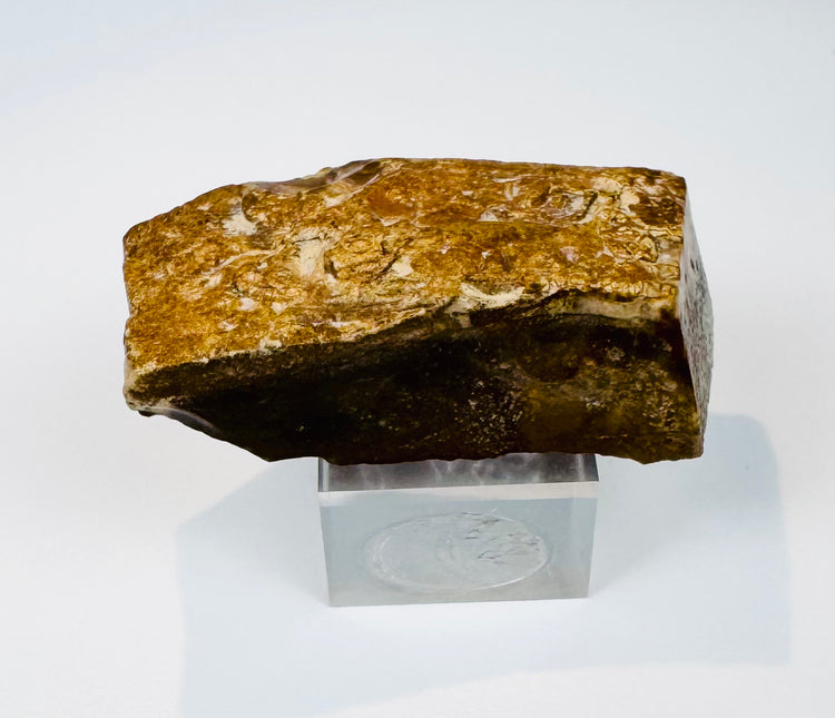 Underside angle of the limestone fragment reportedly collected at the Great Pyramid of Giza during an early 20th-century journey to Egypt.