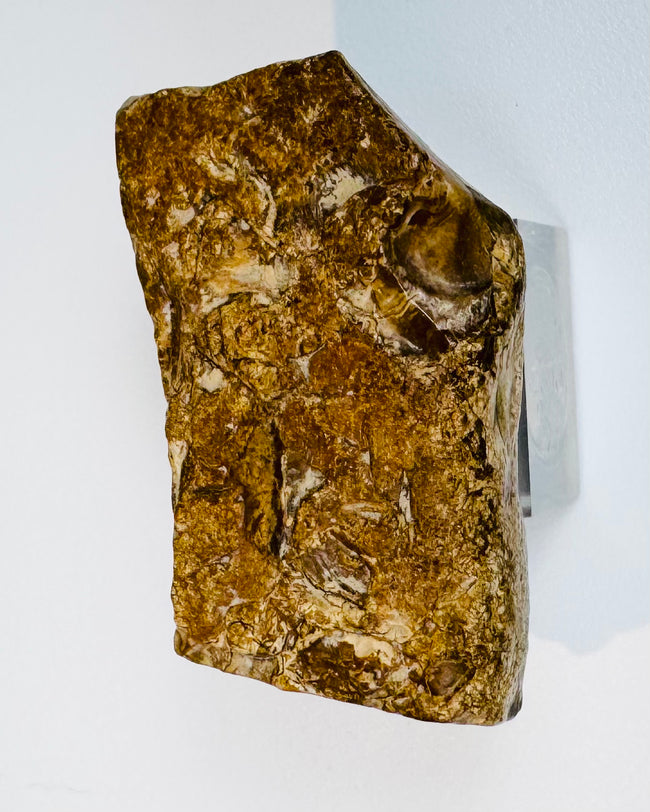 Side profile of the Giza limestone fragment displaying layered coloration, natural weathering, and visible fossil material.