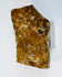 Side profile of the Giza limestone fragment displaying layered coloration, natural weathering, and visible fossil material.