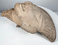 Ancient Classic Veracruz terracotta head with preserved facial details and naturally aged surface