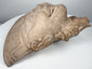 Pre-Columbian Sonriente head fragment with buff terracotta surface and mineral accretions