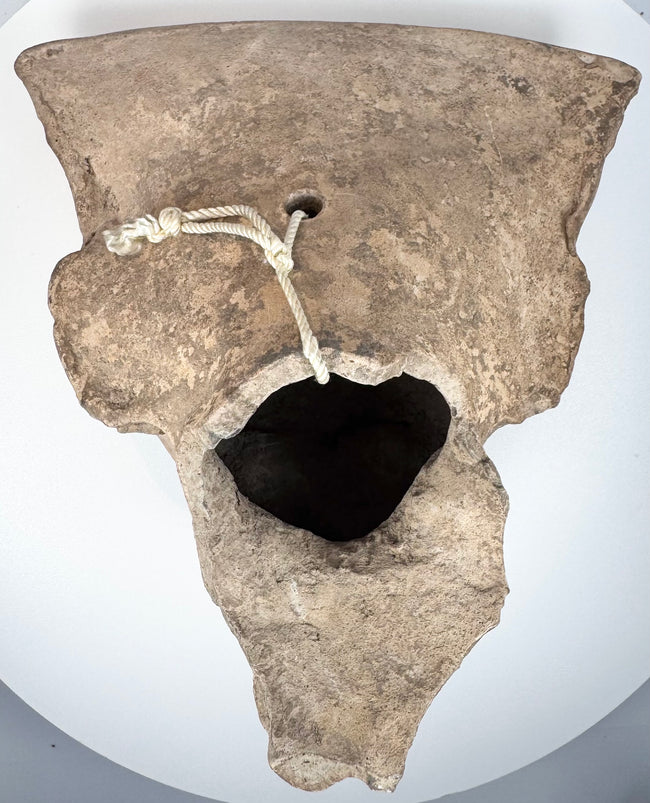Classic Veracruz hollow terracotta head fragment associated with the Remojadas tradition
