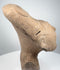 Ancient Veracruz ceramic head with expressive facial modeling and naturally aged buff terracotta surface