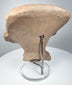 Veracruz smiling face terracotta sculpture with incised scroll decoration and geometric elements