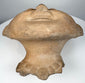 Pre-Columbian Veracruz terracotta head fragment associated with the Remojadas tradition