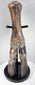Ice Age bison foot from the North Sea Doggerland region with naturally mineralized bone surface