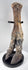 Subfossilized Ice Age bison bone with exposed cancellous structure and natural sediment deposits