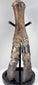 Prehistoric North Sea bison foot preserving substantial anatomical detail from the late Ice Age