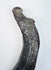 Oligocene sirenian fossil specimen with dark mineralization and contrasting lighter geological deposits