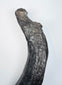 Oligocene sirenian fossil specimen with dark mineralization and contrasting lighter geological deposits