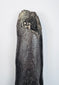 Large fossilized rib attributed to an ancient dugong or related sirenian, approximately 19.5 inches long