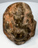 Antique Indian Ganesha stone carving with elephant-headed form and shrine-like architectural surround
