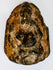 Indian religious stone sculpture of Ganesha with compact form and deeply carved surrounding details