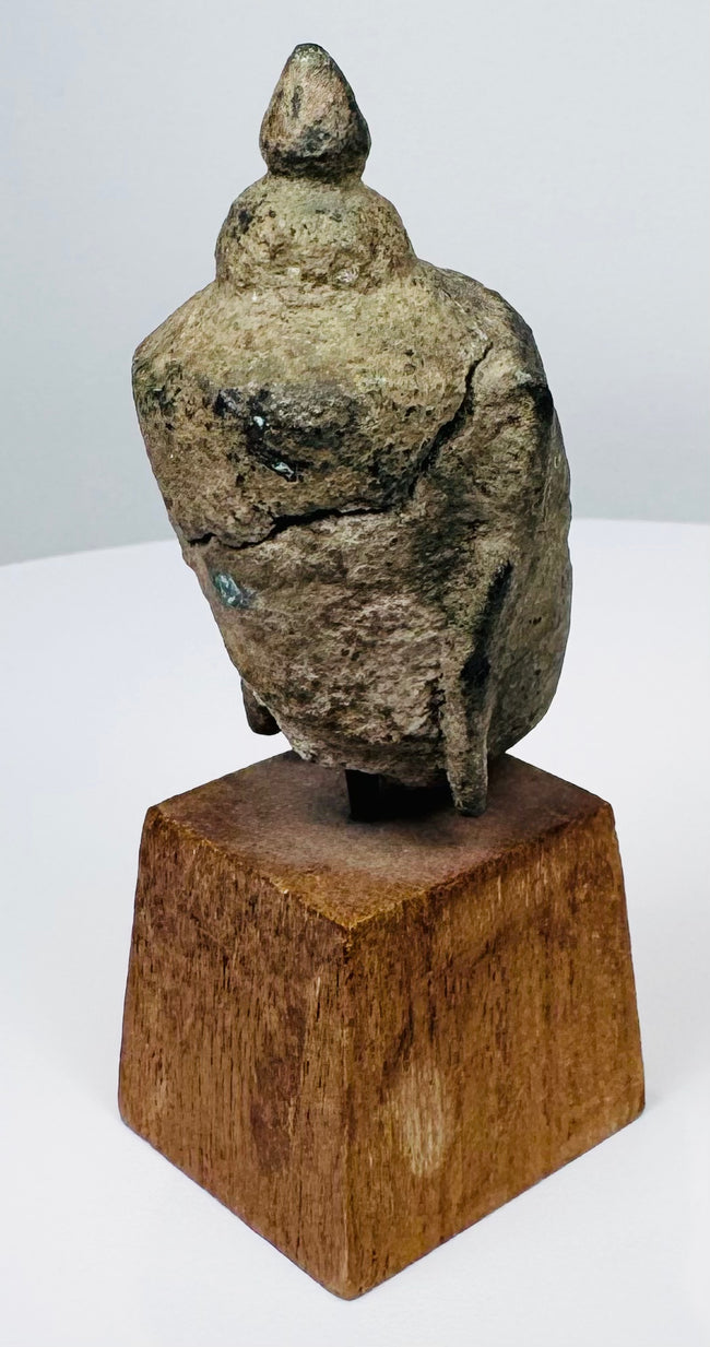 Thai devotional Buddha head with elongated earlobes, softened facial modelling and mineralized surface