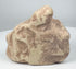 Pre-Columbian Taíno trigonolith with abstract zoomorphic features and compact portable form.
