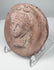 Hellenistic mould-made terracotta medallion with veiled or draped female bust and aged mineral deposits.