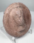 Hellenistic female bust roundel in pinkish-red terracotta with worn facial details and elaborate hairstyle.