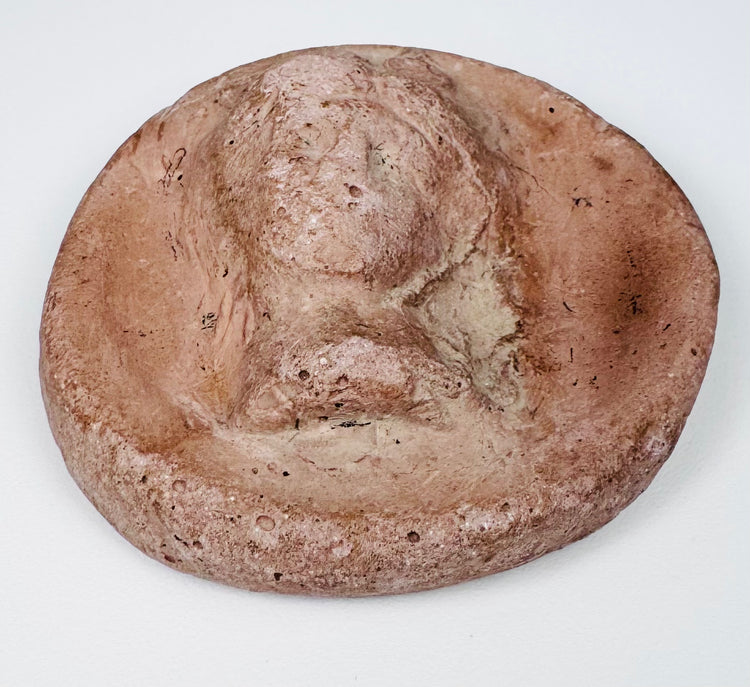 Hellenistic terracotta female head relief with elaborate coiffure, possible diadem, and classical facial features.