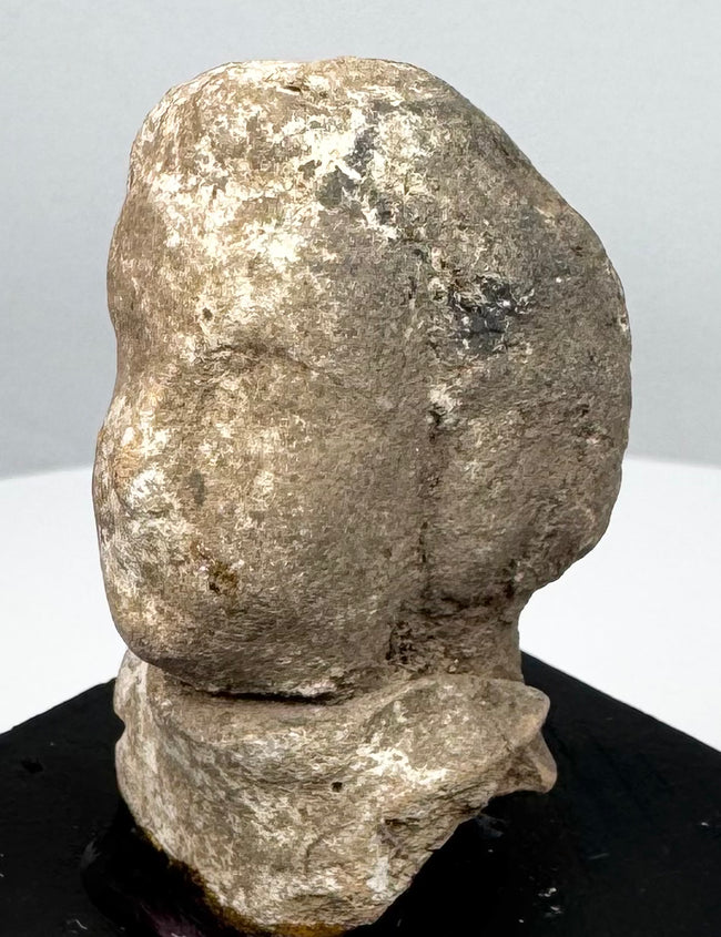 Ancient Greek terracotta bust with elongated facial profile, mineral accretions, and pale surface coating