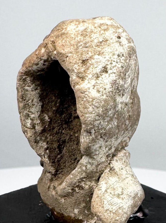 Ancient terracotta protome revealing deep concave interior and mold-made hollow construction