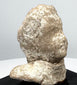 Greek terracotta protome highlighting rounded head, broad shoulder form, and archaeological surface wear