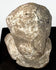 Ancient Greek terracotta protome showing weathered facial features, rounded head, broad shoulders, and pale archaeological surface deposits.