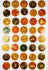 Large grouping of 19th-century Indian Ganjifa round cards arranged in rows, showcasing vibrant hand-painted motifs on a white backdrop.