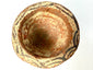 Medieval Afghanistan terracotta mortar displaying projecting side grips, a thick decorated rim, and warm earthy coloration.