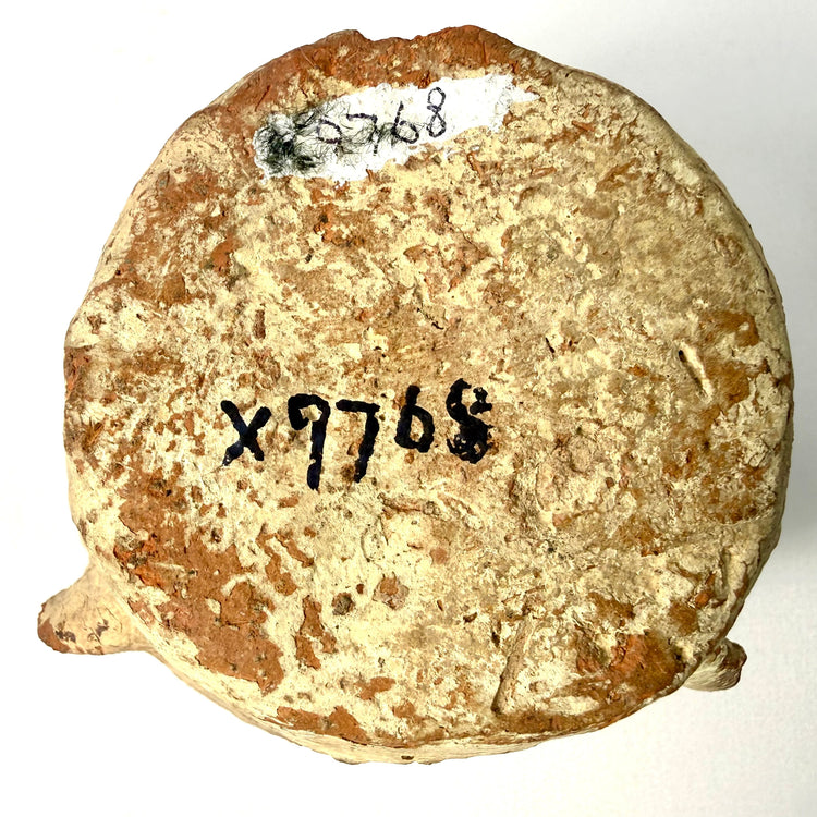 Base of ancient Afghan pottery mortar showing inventory mark X9768