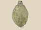 Medieval Islamic ceramic hand grenade from Greater Persia, 10th–12th century CE, bulbous body with narrow neck and textured surface, used for incendiary purposes