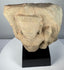 Khmer Empire Devotional Fragment | Padmapani (Avalokitesvara) in Carved Stone | Circa 12th Century