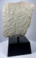 Khmer Empire Devotional Fragment | Padmapani (Avalokitesvara) in Carved Stone | Circa 12th Century
