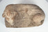 Ancient Egyptian terracotta lion artifact with almond-shaped eyes and pronounced muzzle