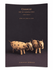 Douglas Dawson Chancay Art of Coastal Peru 1000–1400 AD exhibition catalog cover, April 30 to June 18, 2004.
