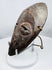 Traditional Lega wooden passport mask from Central Africa displaying a classic oval face design.
