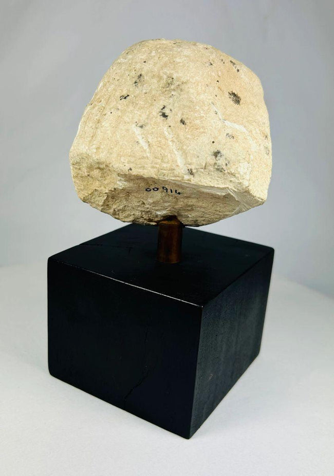 Tapa de vaso canopo de piedra caliza de Imsety | Hijo protector de Horus del Imperio Nuevo | Hacia 1550-1070 a. C.