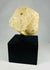 Tapa de vaso canopo de piedra caliza de Imsety | Hijo protector de Horus del Imperio Nuevo | Hacia 1550-1070 a. C.