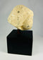 Tapa de vaso canopo de piedra caliza de Imsety | Hijo protector de Horus del Imperio Nuevo | Hacia 1550-1070 a. C.
