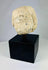 Tapa de vaso canopo de piedra caliza de Imsety | Hijo protector de Horus del Imperio Nuevo | Hacia 1550-1070 a. C.