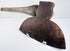 Front face of a 19th-century M.H. Jones & Co. broadhead axe displaying the broad cutting edge and natural iron patina.
