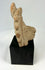Majapahit volcanic andesite guardian head, 14th–15th century Hindu-Buddhist temple fragment