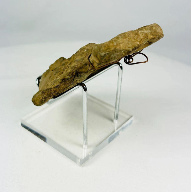 Fragmento de cabeza de terracota mesoamericana | Figura ceremonial con tocado de abanico | I milenio d. C.