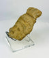 Fragmento de cabeza de terracota mesoamericana | Figura ceremonial con tocado de abanico | I milenio d. C.
