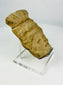 Fragmento de cabeza de terracota mesoamericana | Figura ceremonial con tocado de abanico | I milenio d. C.