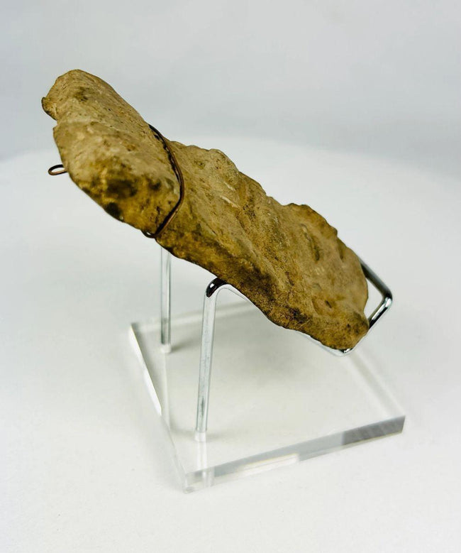 Fragmento de cabeza de terracota mesoamericana | Figura ceremonial con tocado de abanico | I milenio d. C.