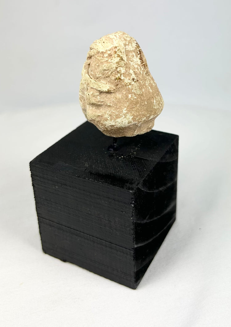 Ancient Mesopotamian stone idol head, ritual votive fragment from the Near East, displayed on stand