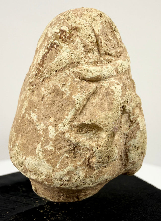 Rear view of beige Mesopotamian limestone idol head with rough unfinished back